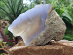 Natural Blue Lace Agate Geode Specimens x 4 From Nsanje, Malawi - Toprock Gemstones and Minerals 