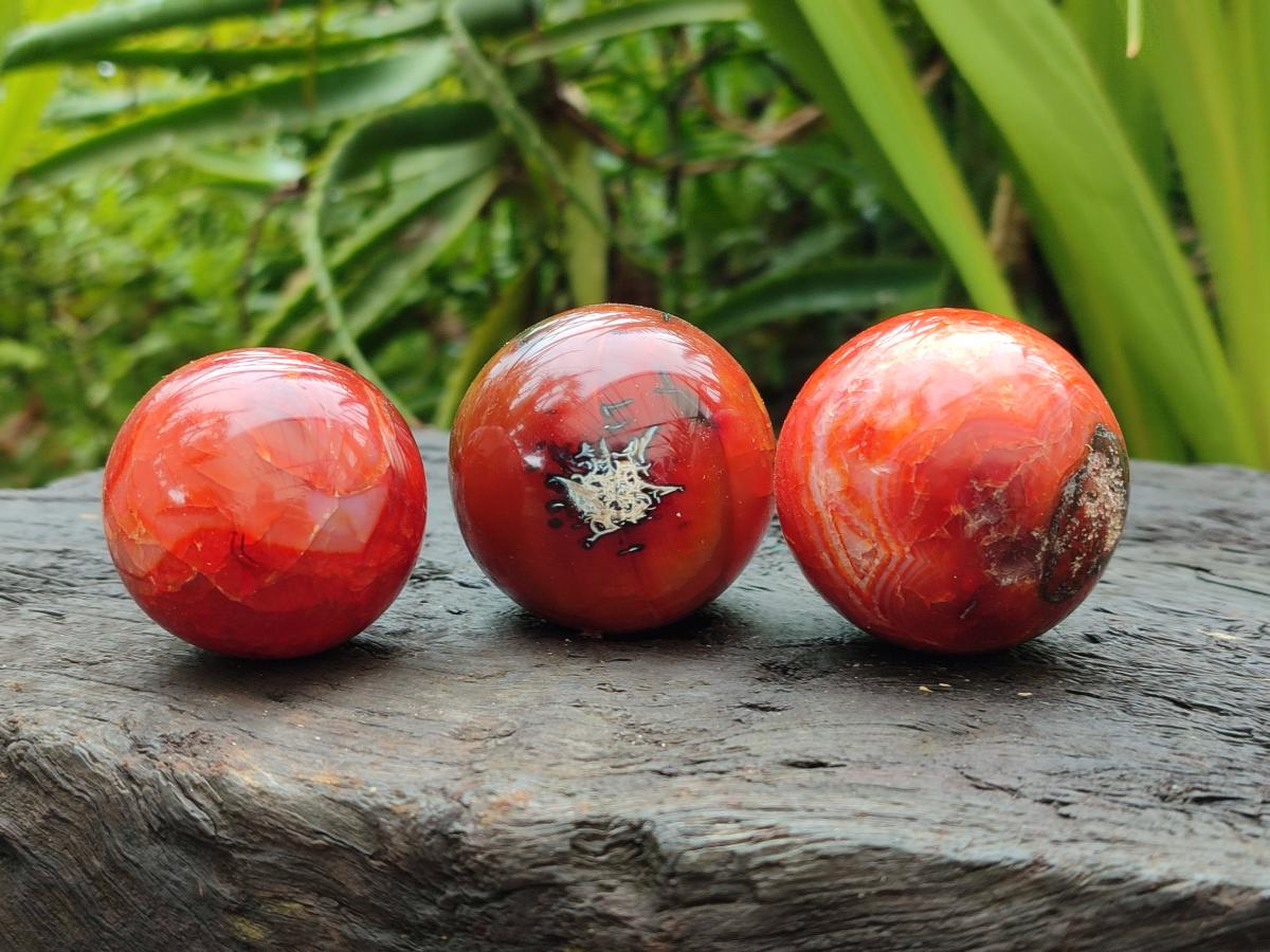 Polished Carnelian Agate Gemstone Spheres x 12 From Madagascar