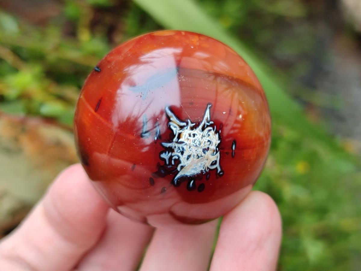 Polished Carnelian Agate Gemstone Spheres x 12 From Madagascar