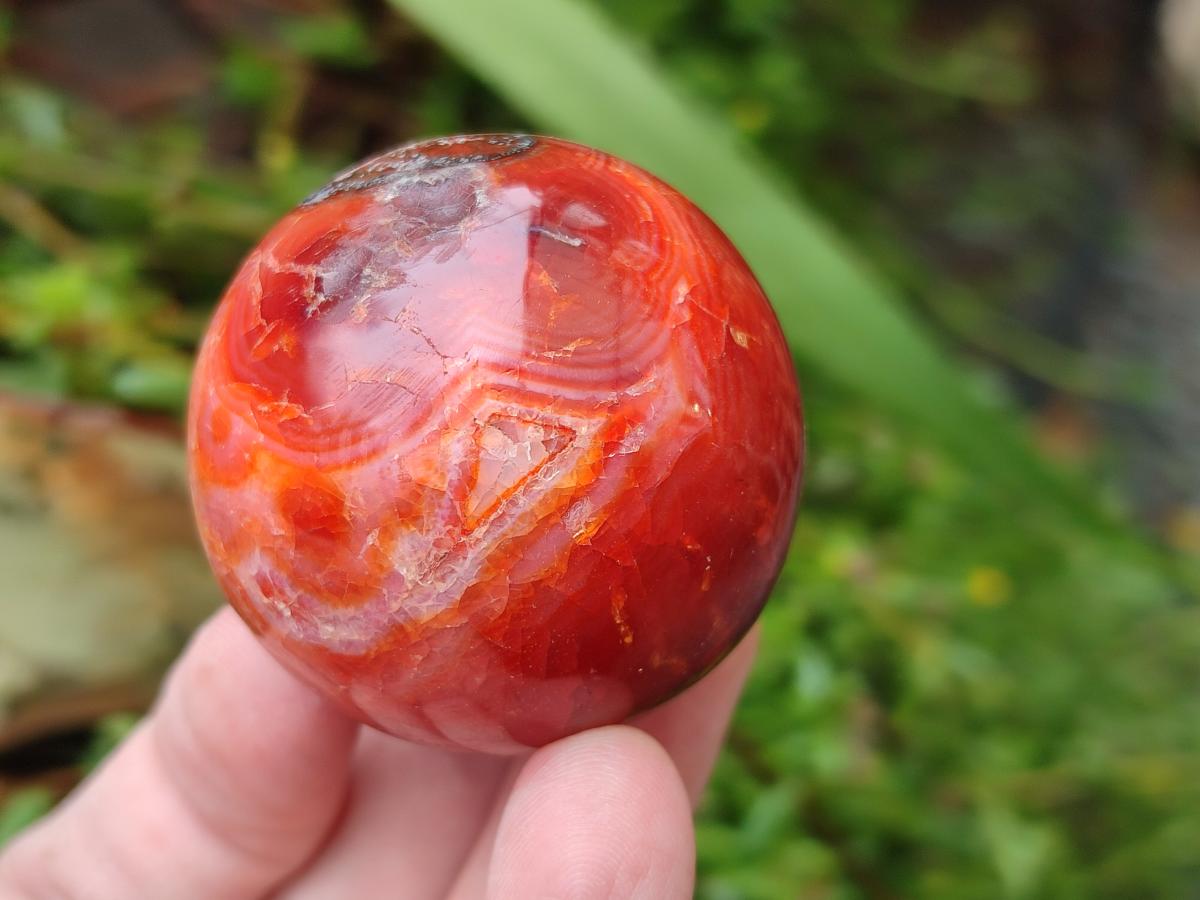 Polished Carnelian Agate Gemstone Spheres x 12 From Madagascar