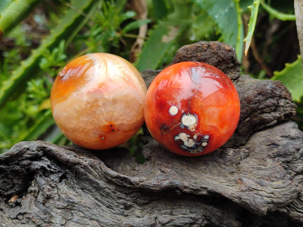 Polished Carnelian Agate Gemstone Spheres x 12 From Madagascar