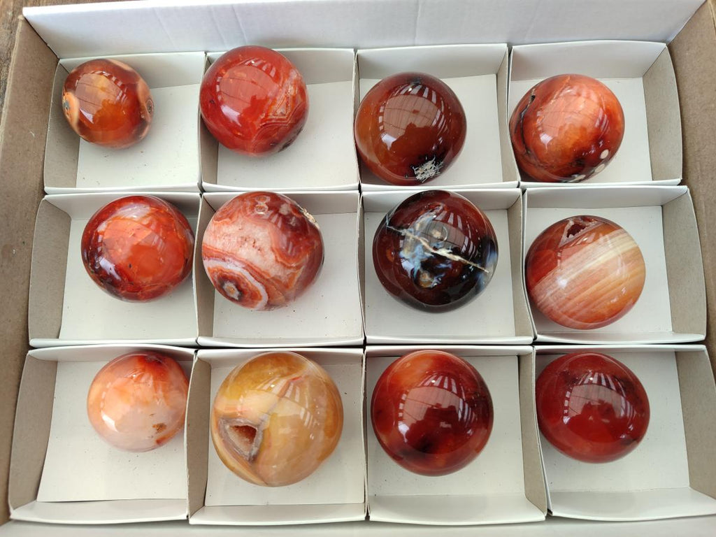 Polished Carnelian Agate Gemstone Spheres x 12 From Madagascar