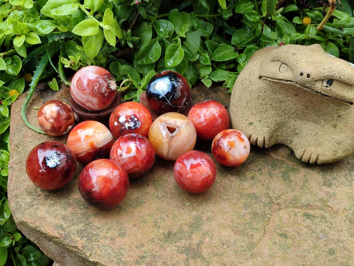 Polished Carnelian Agate Gemstone Spheres x 12 From Madagascar