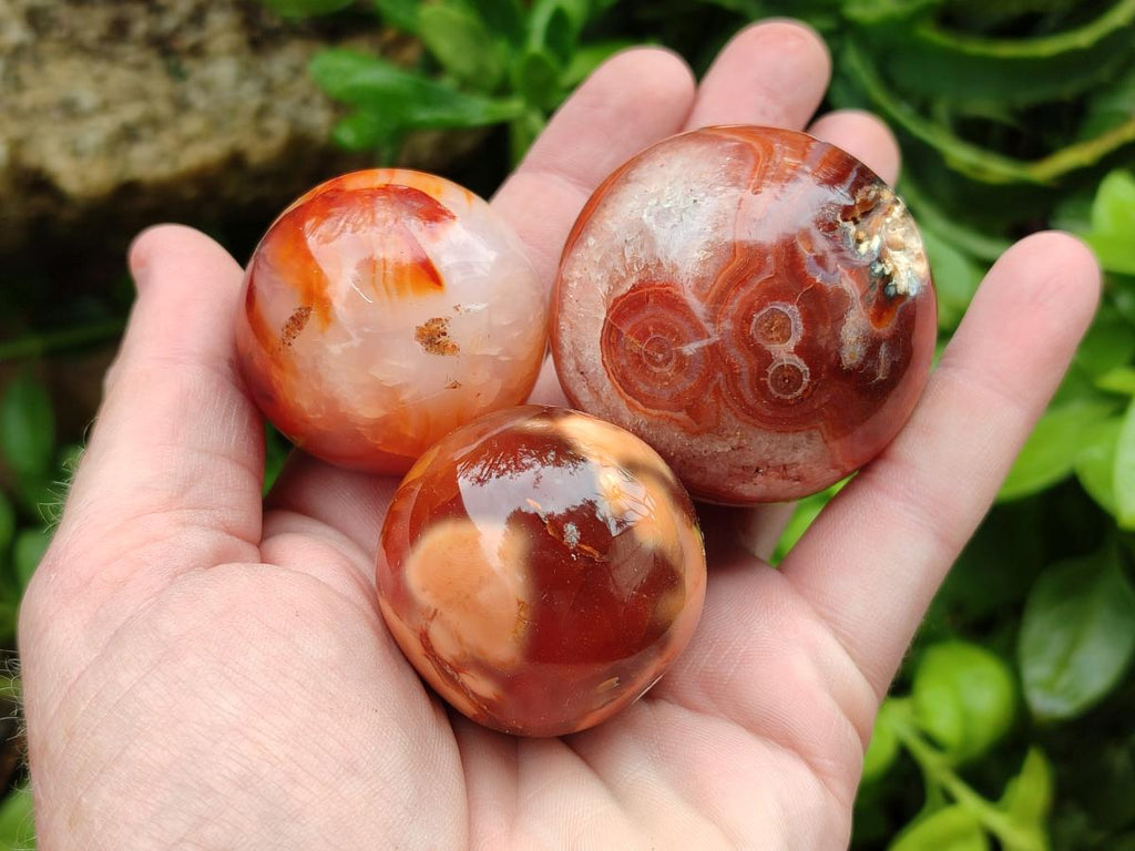 Polished Carnelian Agate Gemstone Spheres x 12 From Madagascar