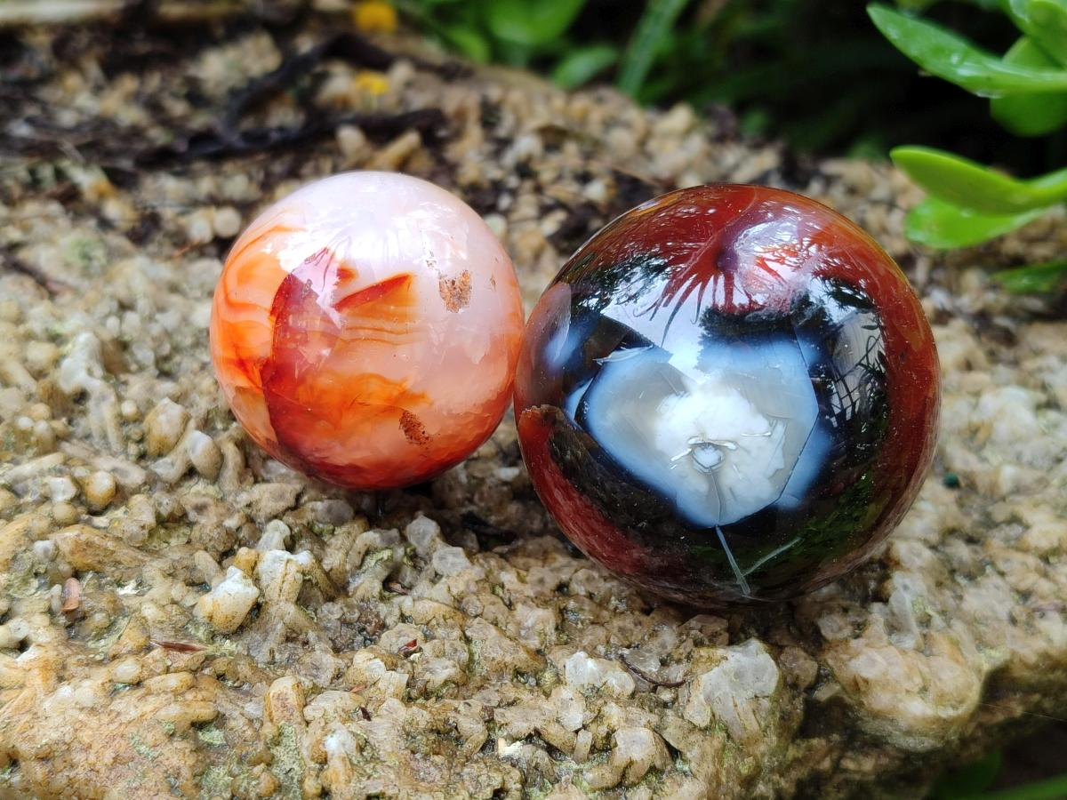Polished Carnelian Agate Gemstone Spheres x 12 From Madagascar