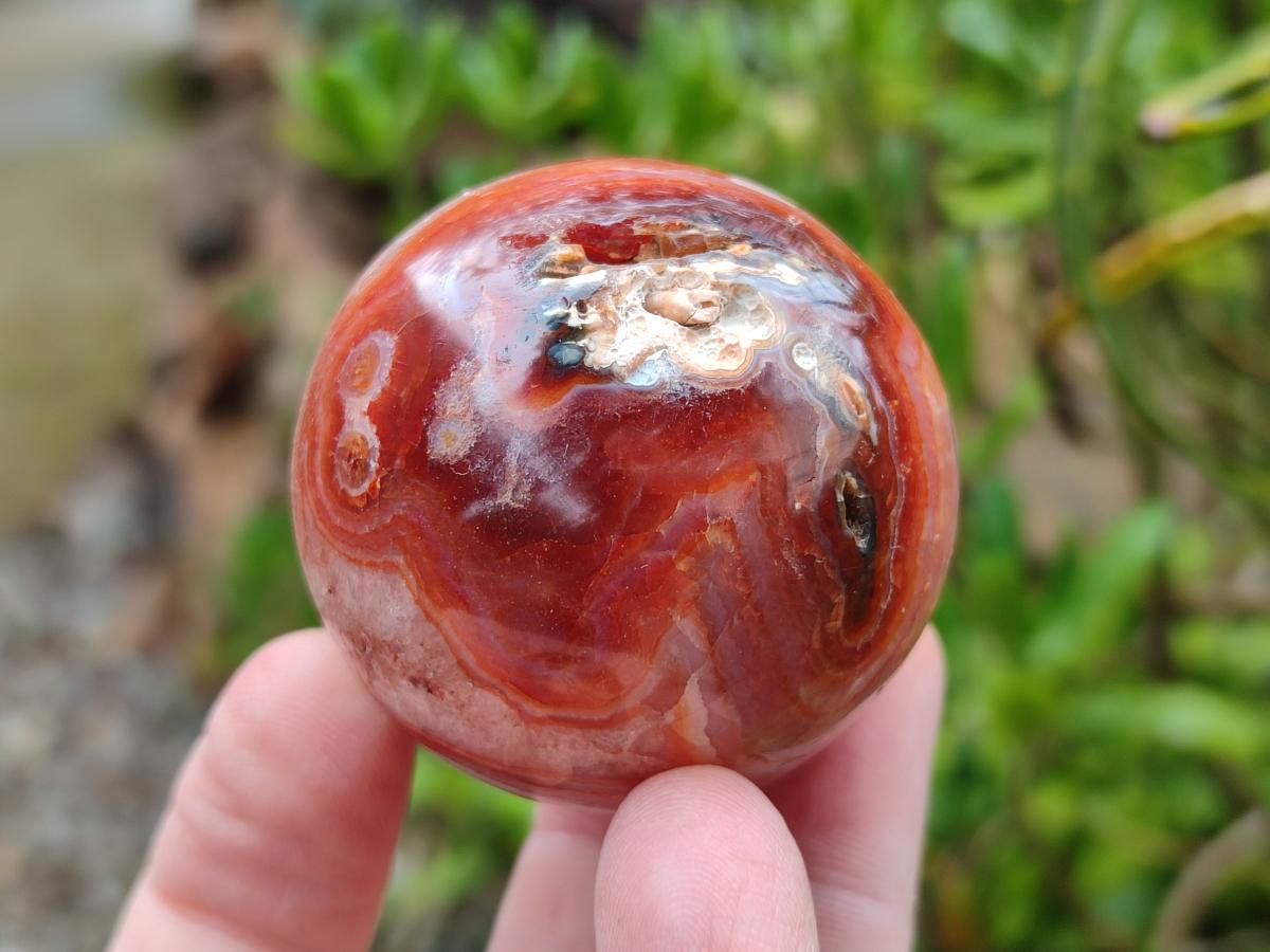 Polished Carnelian Agate Gemstone Spheres x 12 From Madagascar