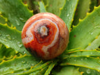 Polished Carnelian Agate Gemstone Spheres x 12 From Madagascar