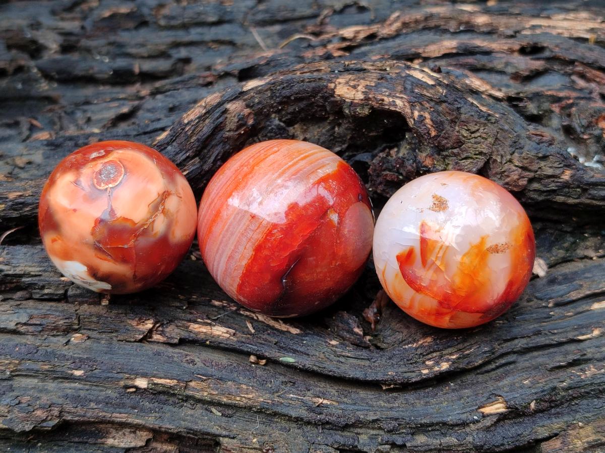 Polished Carnelian Agate Gemstone Spheres x 12 From Madagascar