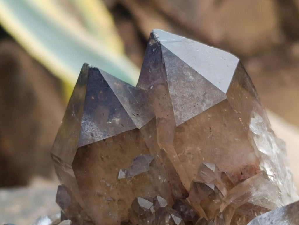 Natural Large Cascading Smokey Citrine Quartz Cluster x 1 From Luena, Congo