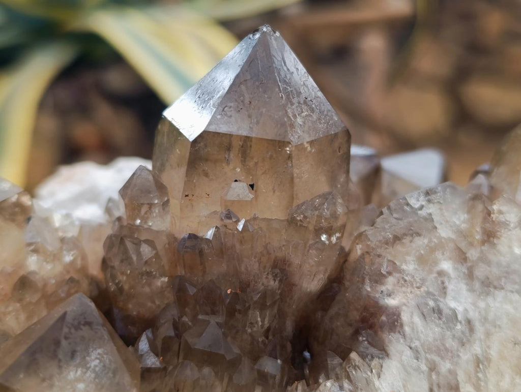 Natural Large Cascading Smokey Citrine Quartz Cluster x 1 From Luena, Congo