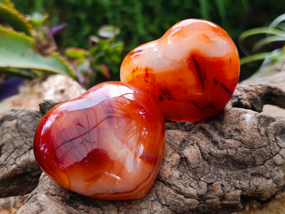 Polished Carnelian Agate Palm Size Gemstone Hearts x 12 From Madagascar