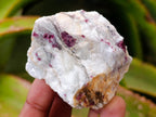 Natural Cobbed Pink Rubelite Tourmaline x 35 From Ambatondrazaka, Madagascar