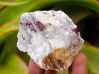 Natural Cobbed Pink Rubelite Tourmaline x 35 From Ambatondrazaka, Madagascar