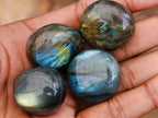 Polished Rounded Labradorite Free Forms x 70 From Madagascar