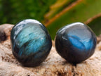Polished Rounded Labradorite Free Forms x 70 From Madagascar