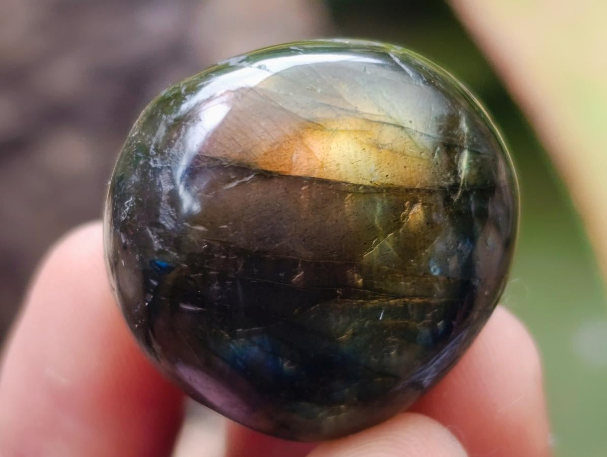 Polished Rounded Labradorite Free Forms x 70 From Madagascar