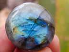 Polished Rounded Labradorite Free Forms x 70 From Madagascar