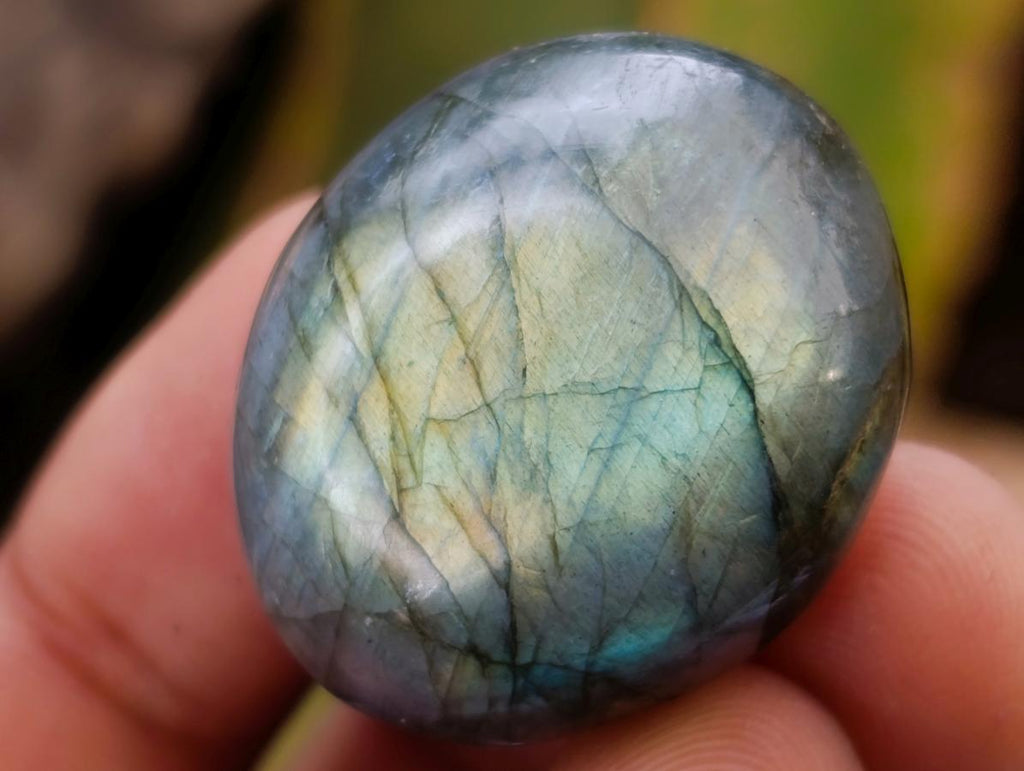 Polished Rounded Labradorite Free Forms x 70 From Madagascar