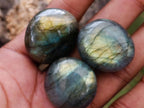 Polished Rounded Labradorite Free Forms x 70 From Madagascar