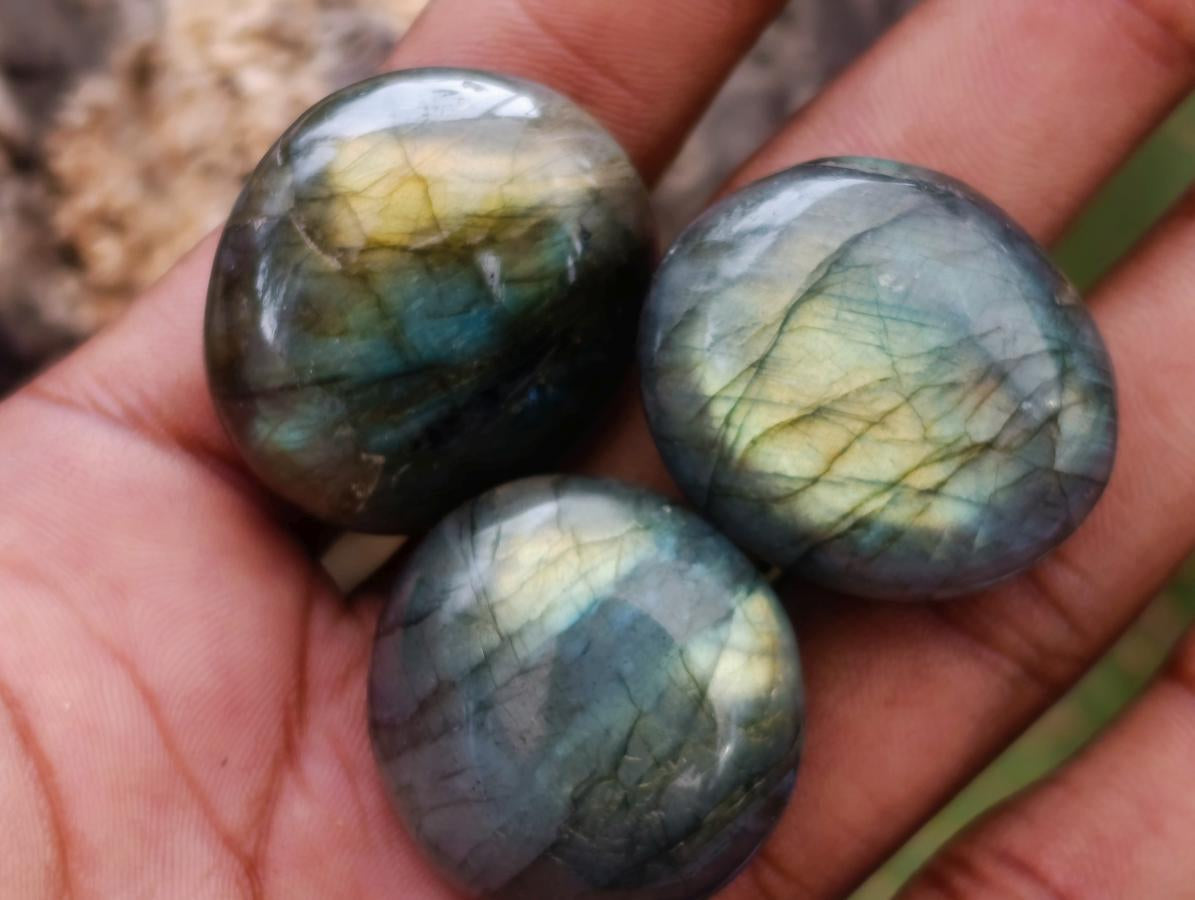 Polished Rounded Labradorite Free Forms x 70 From Madagascar