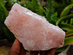 Natural Cobbed Rose Quartz Specimens x 5 From Northern Cape, South Africa