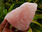 Natural Cobbed Rose Quartz Specimens x 5 From Northern Cape, South Africa