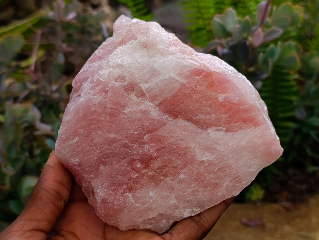 Natural Cobbed Rose Quartz Specimens x 5 From Northern Cape, South Africa