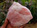 Natural Cobbed Rose Quartz Specimens x 5 From Northern Cape, South Africa