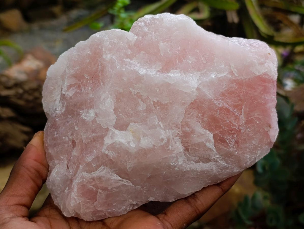 Natural Cobbed Rose Quartz Specimens x 5 From Northern Cape, South Africa