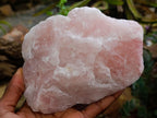 Natural Cobbed Rose Quartz Specimens x 5 From Northern Cape, South Africa