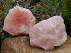 Natural Cobbed Rose Quartz Specimens x 5 From Northern Cape, South Africa