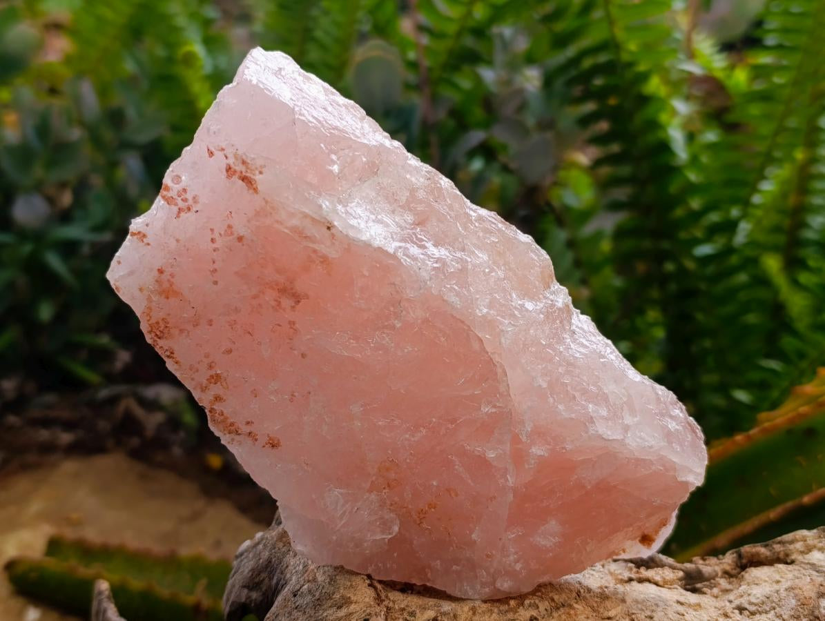 Natural Cobbed Rose Quartz Specimens x 5 From Northern Cape, South Africa