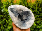 Polished Large Blue Celestite Egg x 1 From Sakoany, Madagascar