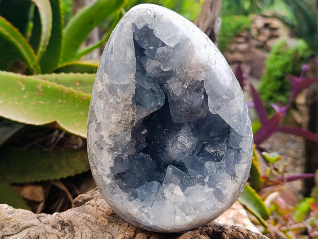 Polished Large Blue Celestite Egg x 1 From Sakoany, Madagascar