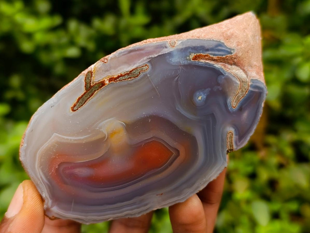 Polished One Side Large Red Shashe River Agate Nodules x 4 From Shashe River, Zimbabwe