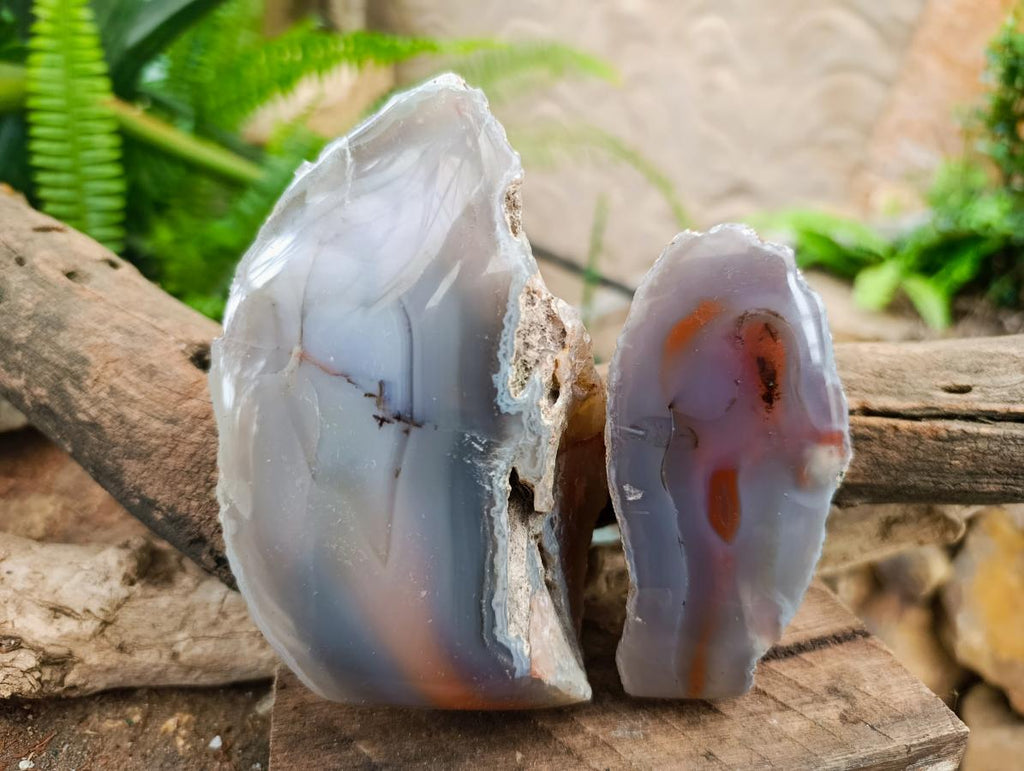 Polished One Side Large Red Shashe River Agate Nodules x 4 From Shashe River, Zimbabwe