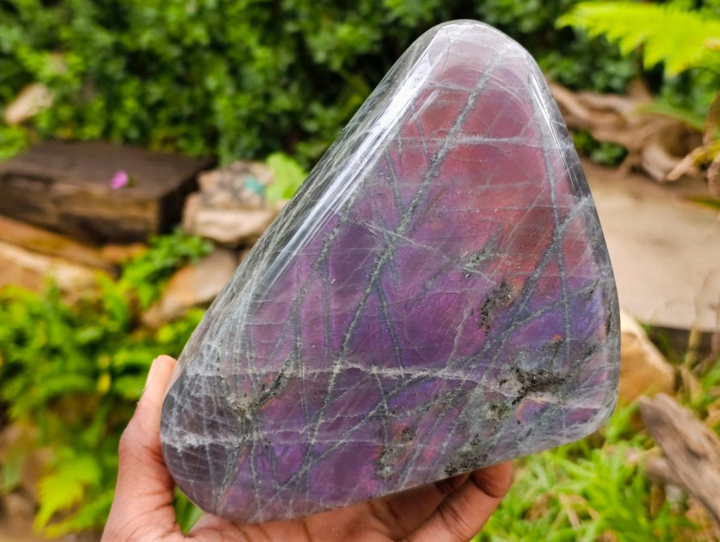 Polished Rare Purple Sunset Flash Labradorite Standing Free Form x 1 From Madagascar