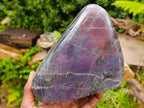Polished Rare Purple Sunset Flash Labradorite Standing Free Form x 1 From Madagascar