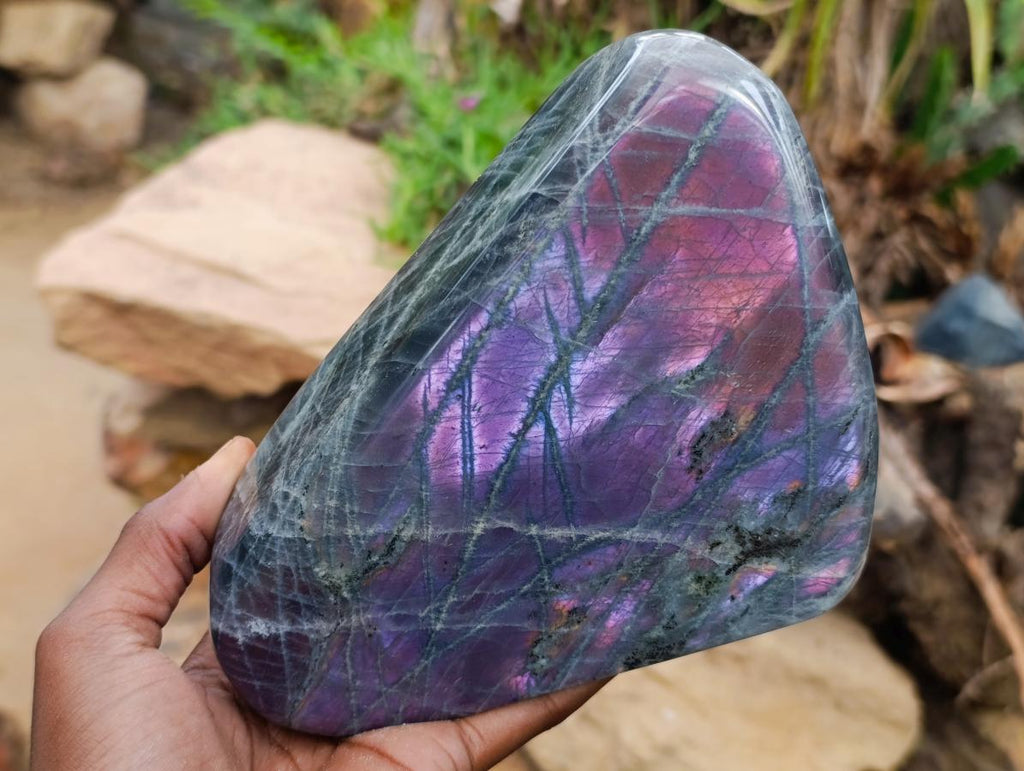 Polished Rare Purple Sunset Flash Labradorite Standing Free Form x 1 From Madagascar