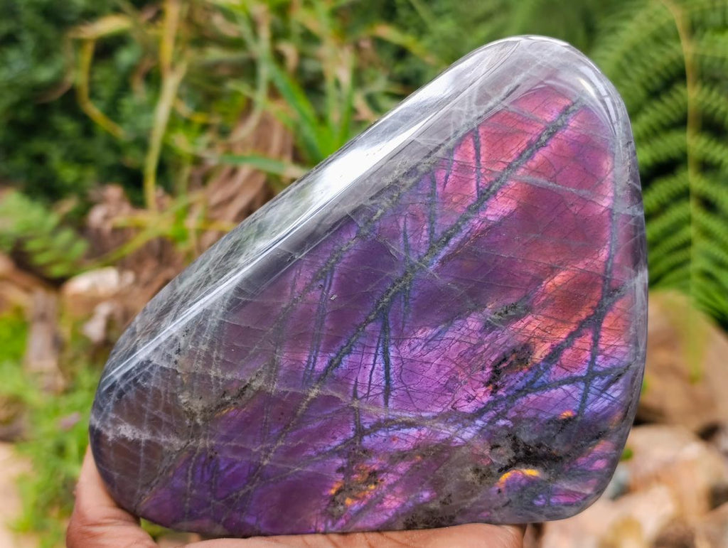 Polished Rare Purple Sunset Flash Labradorite Standing Free Form x 1 From Madagascar