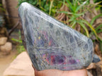 Polished Rare Purple Sunset Flash Labradorite Standing Free Form x 1 From Madagascar