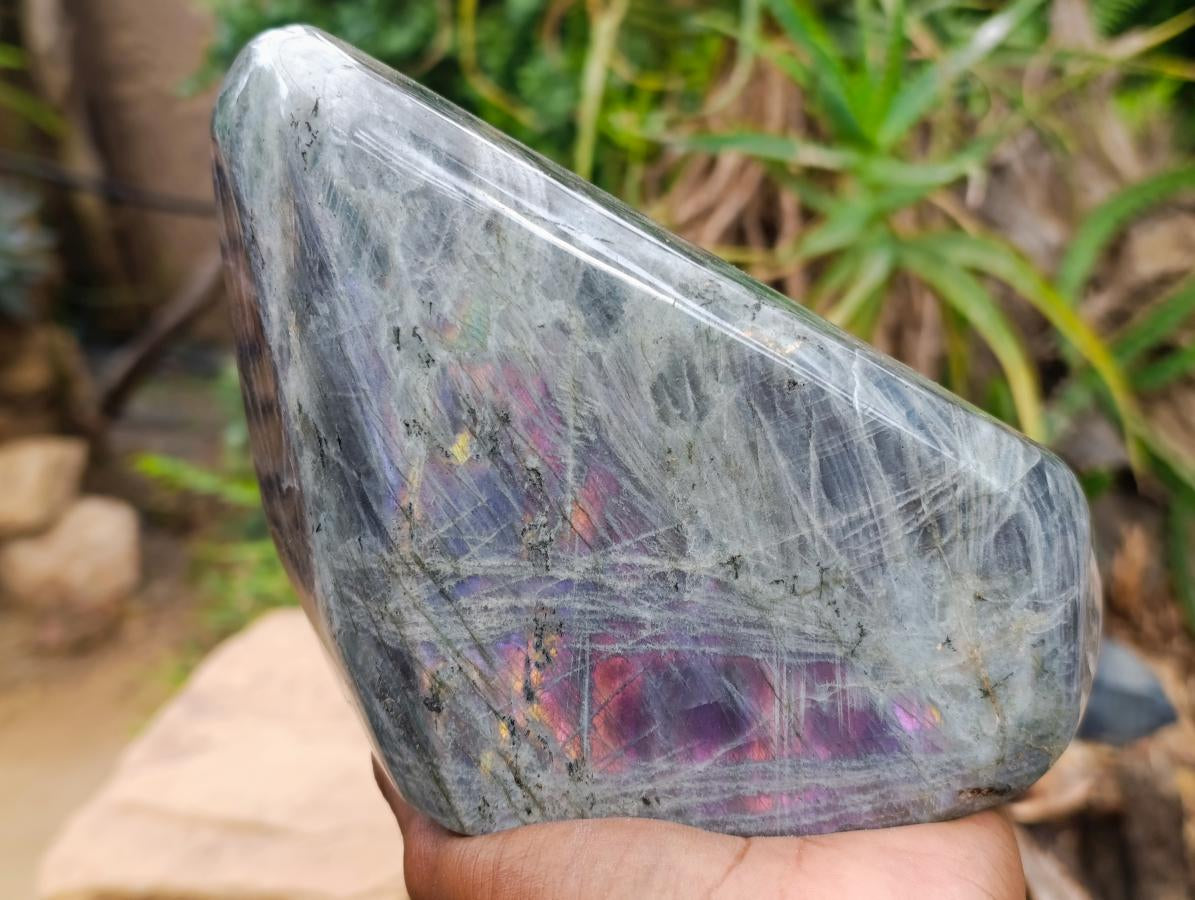 Polished Rare Purple Sunset Flash Labradorite Standing Free Form x 1 From Madagascar