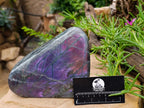 Polished Rare Purple Sunset Flash Labradorite Standing Free Form x 1 From Madagascar