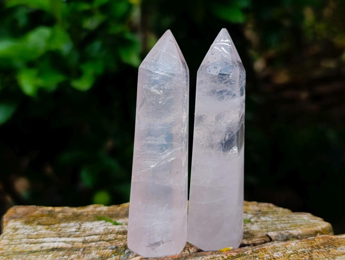 Polished Long Thin Gemmy Rose Quartz Crystals x 12 From Madagascar