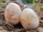 Polished Flower Agate Palm Stones x 20 From Antsahalova, Madagascar