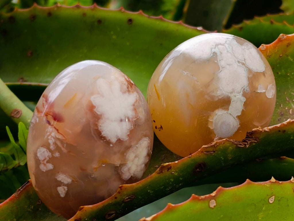 Polished Flower Agate Palm Stones x 20 From Antsahalova, Madagascar