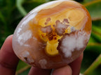 Polished Flower Agate Palm Stones x 20 From Antsahalova, Madagascar