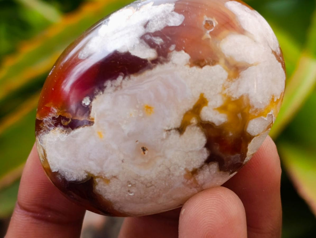 Polished Flower Agate Palm Stones x 20 From Antsahalova, Madagascar