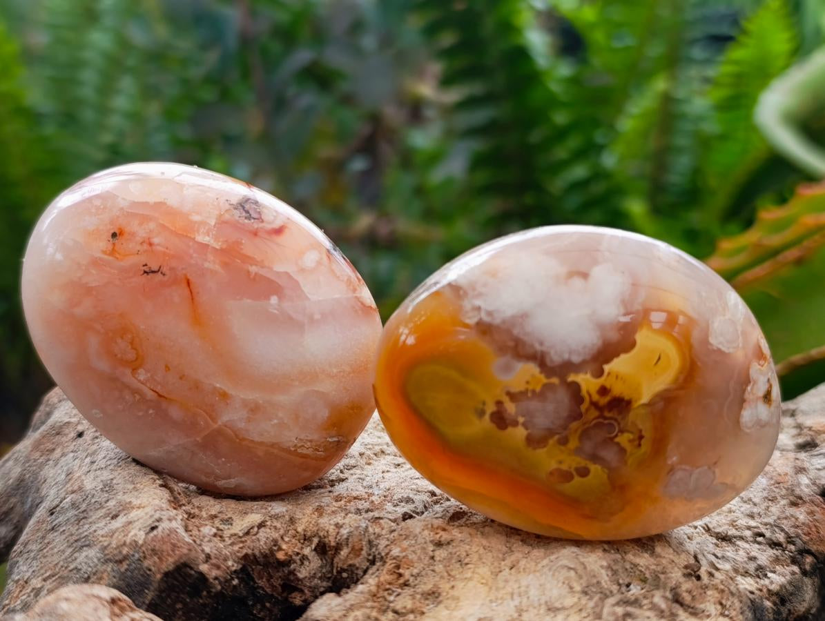 Polished Flower Agate Palm Stones x 20 From Antsahalova, Madagascar