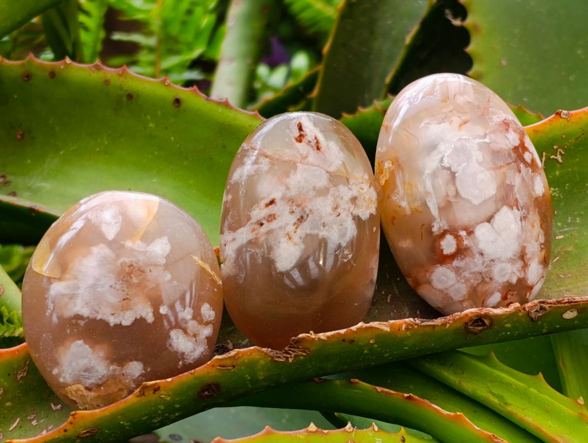Polished Flower Agate Palm Stones x 20 From Antsahalova, Madagascar